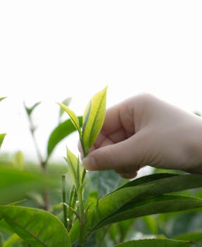 A股早盘表现平稳,54只个股触及涨停;市场分化明显。 股票财经 A股早盘表现平稳,54只个股触及涨停;市场分化明显。 股票财经 A股早盘表现平稳,54只个股触及涨停;市场分化明显。 股票财经 A股早盘表现平稳,54只个股触及涨停;市场分化明显。 股票财经 A股早盘表现平稳,54只个股触及涨停;市场分化明显。 股票财经