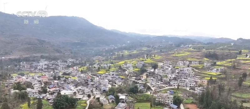 春风拂田野,稻油轮作绘就丰收新图景;金色花海点亮乡村致富路。 文化旅游 春风拂田野,稻油轮作绘就丰收新图景;金色花海点亮乡村致富路。 文化旅游