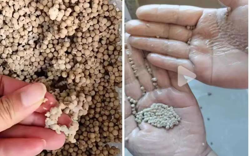 网购胡椒粉乱象频现;标称纯正却藏猫腻;消费者如何擦亮眼睛。 健康养生 网购胡椒粉乱象频现;标称纯正却藏猫腻;消费者如何擦亮眼睛。 健康养生