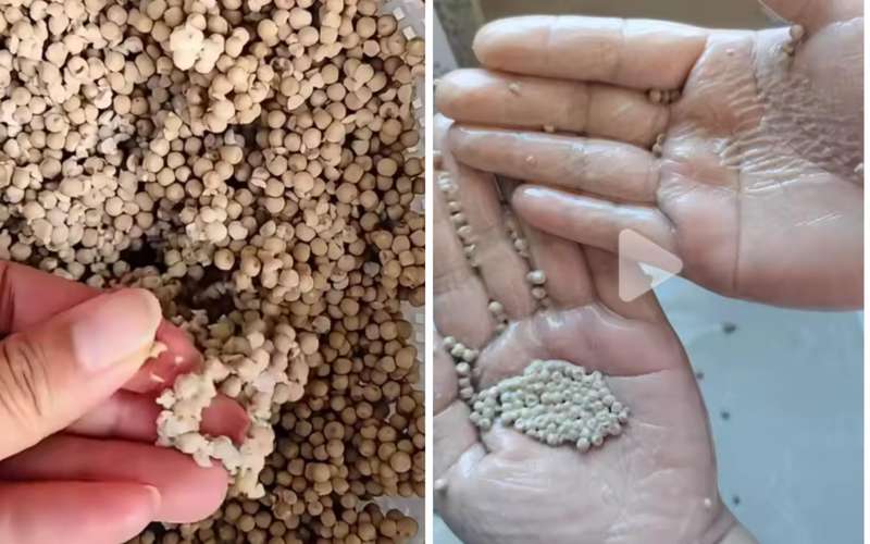 网购胡椒粉乱象频现;标称纯正却藏猫腻;消费者如何擦亮眼睛。 健康养生 网购胡椒粉乱象频现;标称纯正却藏猫腻;消费者如何擦亮眼睛。 健康养生