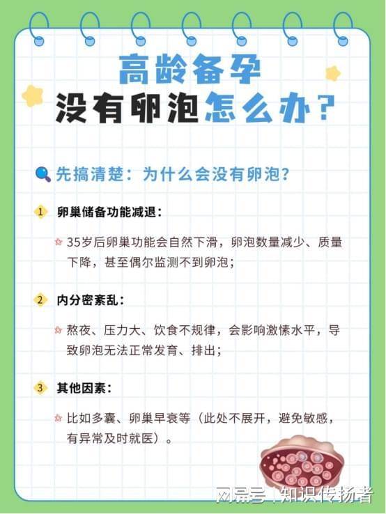 高龄备孕群体:科学应对卵巢储备不足的系统化进阶方案 健康养生