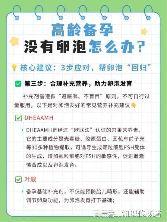 高龄备孕群体:科学应对卵巢储备不足的系统化进阶方案 健康养生