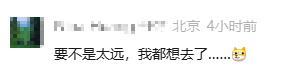 流量冲击下的传统餐饮生存法则:顺德莫氏鸡煲爆红事件深度剖析 企业服务