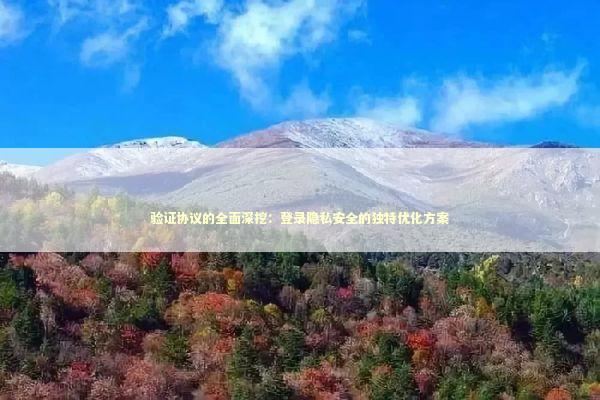 验证协议的全面深挖：登录隐私安全的独特优化方案