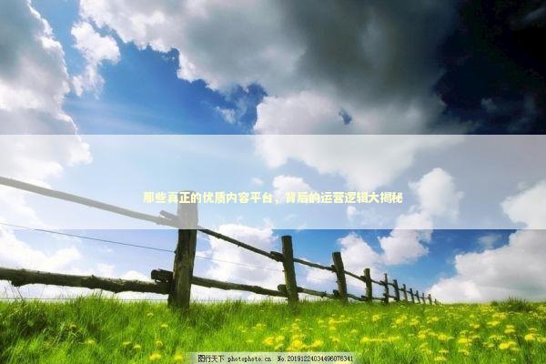 那些真正的优质内容平台，背后的运营逻辑大揭秘