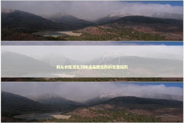 我从衣柜混乱到精通品牌选购的完整经历