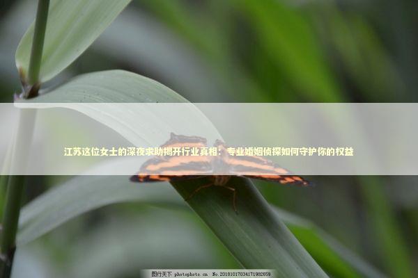 江苏这位女士的深夜求助揭开行业真相：专业婚姻侦探如何守护你的权益