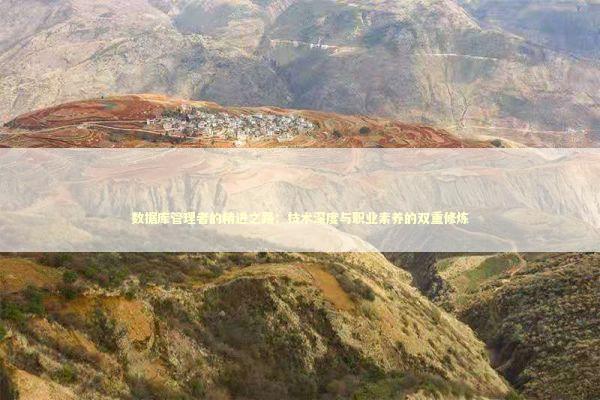 数据库管理者的精进之路：技术深度与职业素养的双重修炼
